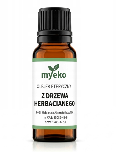 z drzewa.png