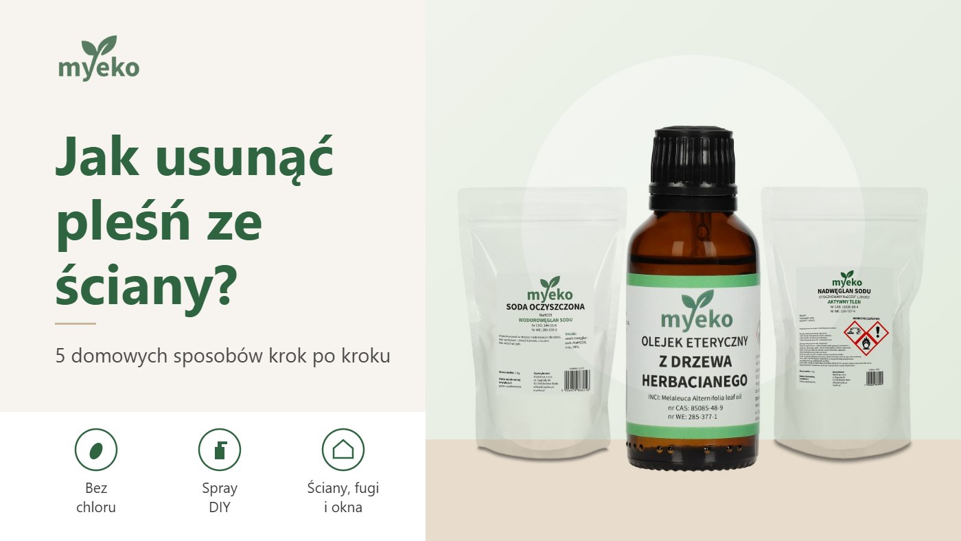 Jak usunąć pleśń ze ściany? 5 domowych sposobów krok po kroku